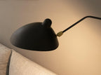 Adjustable Wall Light for Focused Task and Ambient Lighting