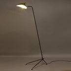 Adjustable Arm Floor Lamp with Mid-Century Modern Design