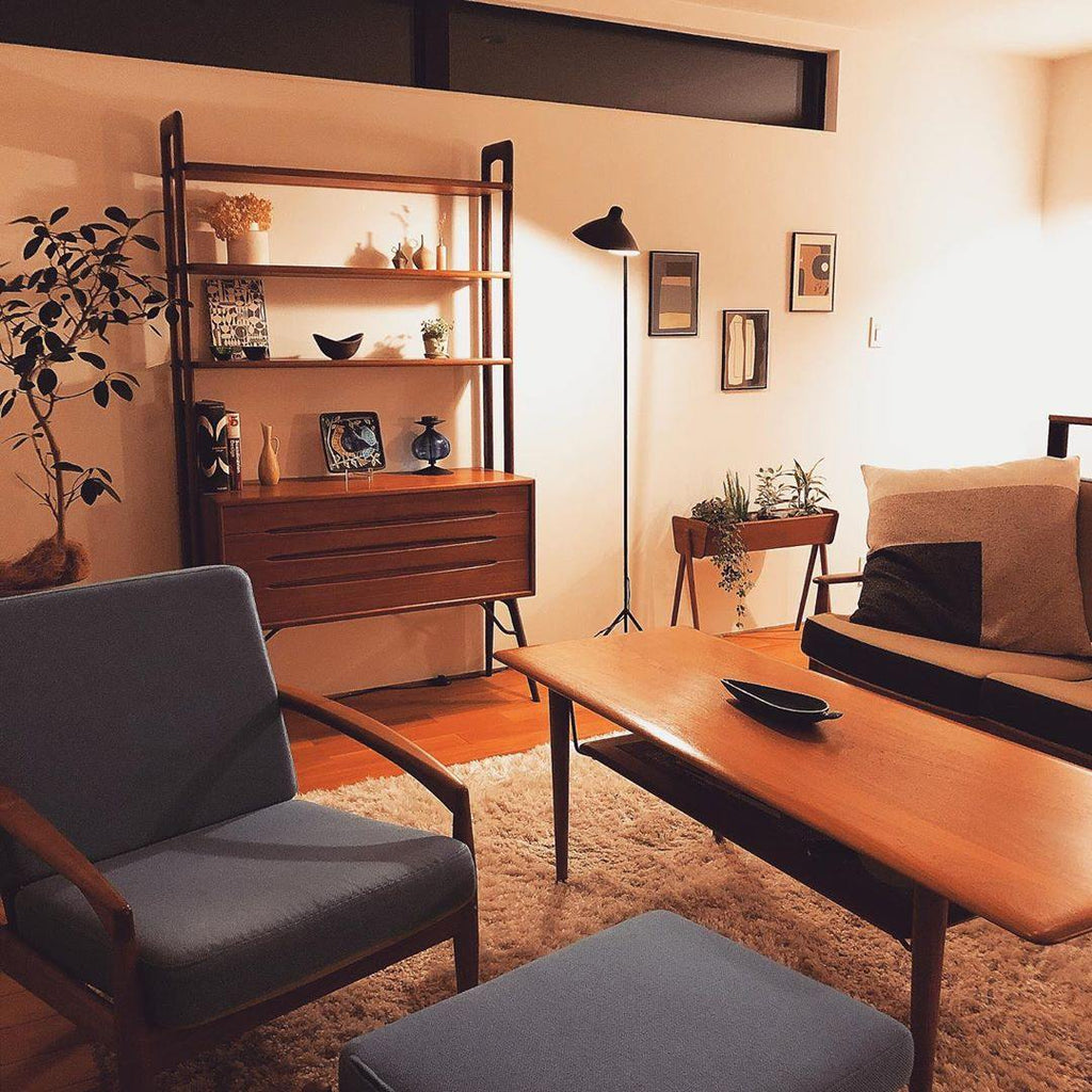 Adjustable Arm Floor Lamp with Mid-Century Modern Design