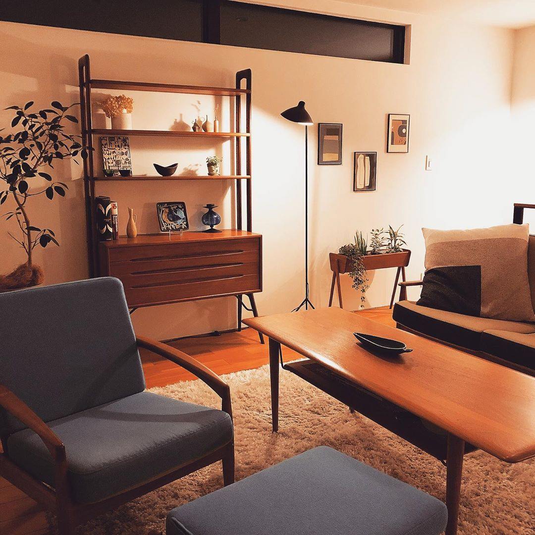 Adjustable Arm Floor Lamp with Mid-Century Modern Design